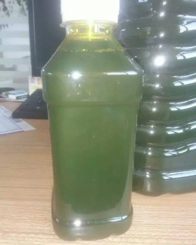 植物沥青